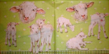 003 Sheep - 3-ply (yellow) - Ihr